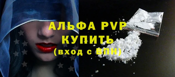 индика Богданович