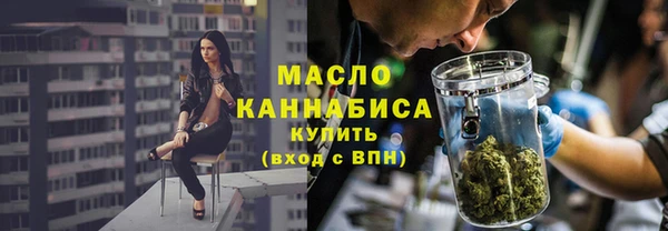 индика Богданович