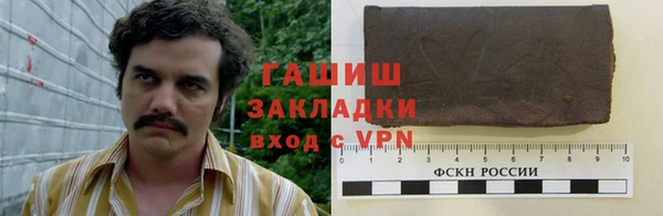 индика Богданович