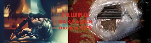 индика Богданович