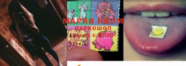 прущие грибы Богородск