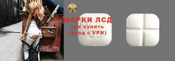 индика Богданович