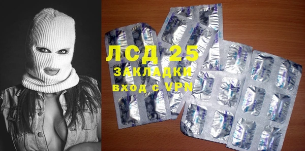 индика Богданович