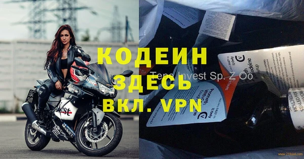 индика Богданович