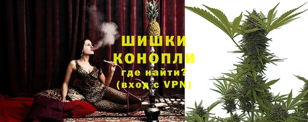 прущие грибы Богородск