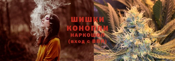 прущие грибы Богородск