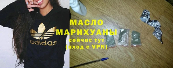 индика Богданович
