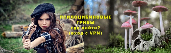скорость Богородицк