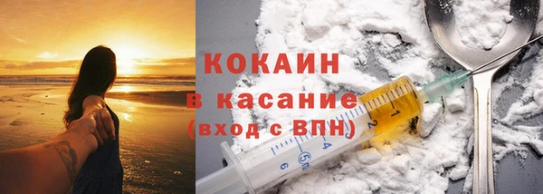 прущие грибы Богородск
