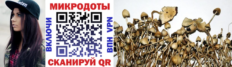 мориарти состав  кракен онион  Нижний Новгород  Псилоцибиновые грибы GOLDEN TEACHER 